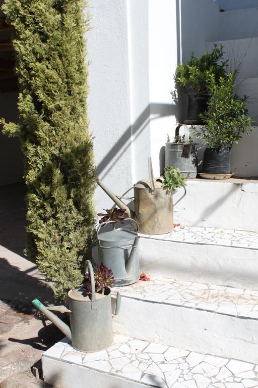 Cape Karoo Guesthouse Beaufort West Dış mekan fotoğraf